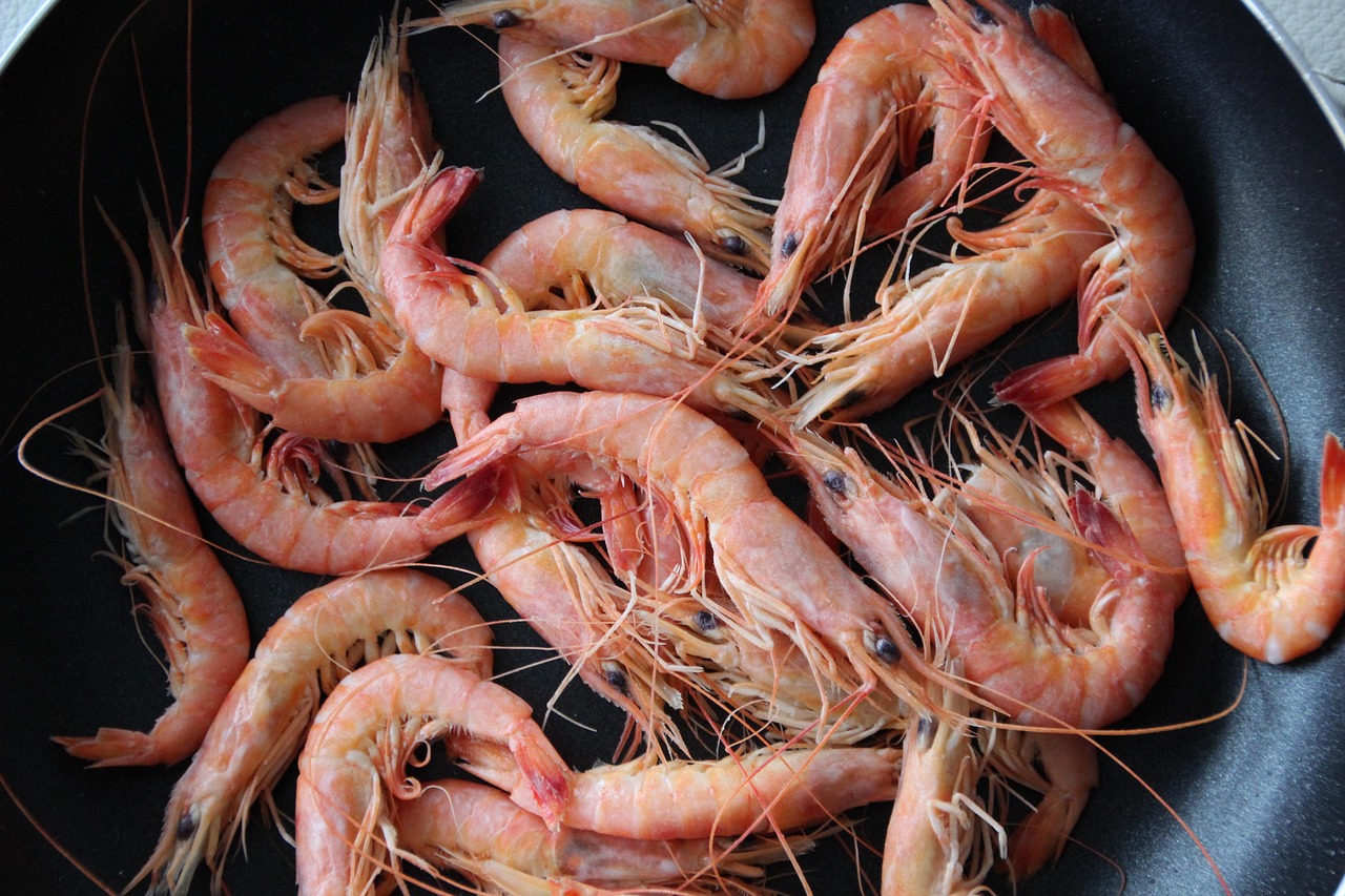 shrimp, seafood, meal, food, dish, shellfish, mediterranean cuisine, langostinos, gambas, crustacean, shrimp, shrimp, shrimp, shrimp, shrimp, seafood, food